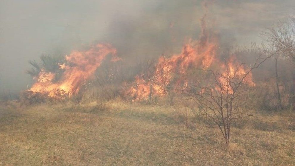 Incendio en Las Lomitas