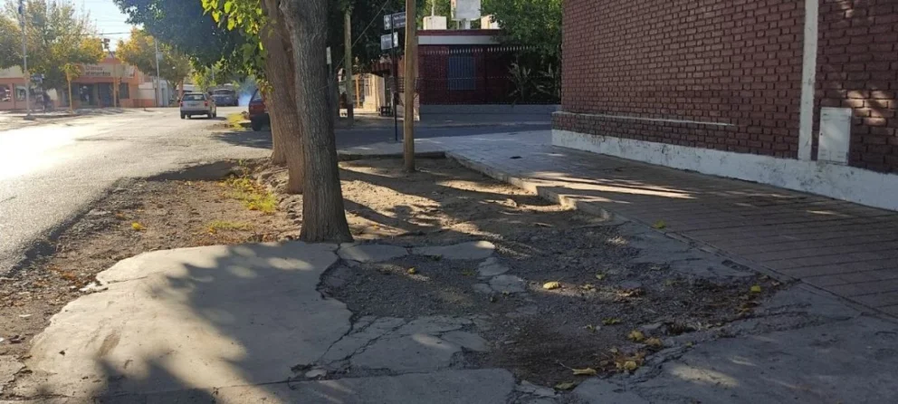 El descuido por parte de autoridades municipales de la ciudad de San Juan