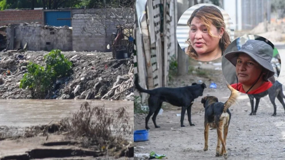 IMAGEN, GENTILEZA DE DIARIO EL TRIBUNO